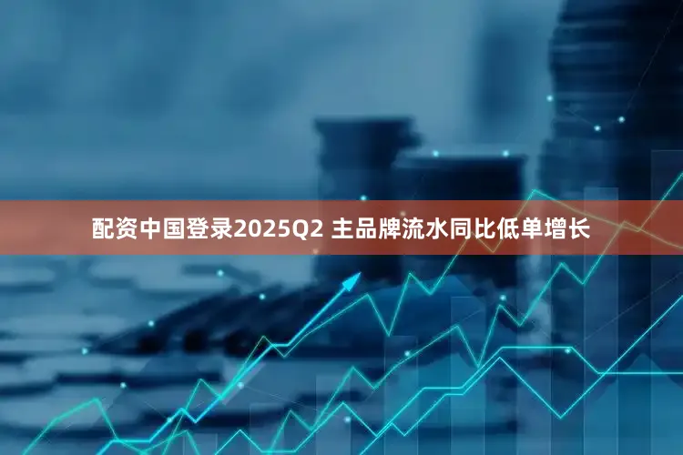 配资中国登录2025Q2 主品牌流水同比低单增长