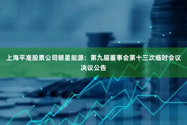 上海平准股票公司银星能源：第九届董事会第十三次临时会议决议公告