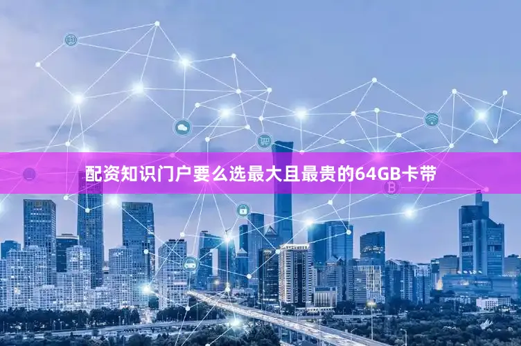 配资知识门户要么选最大且最贵的64GB卡带